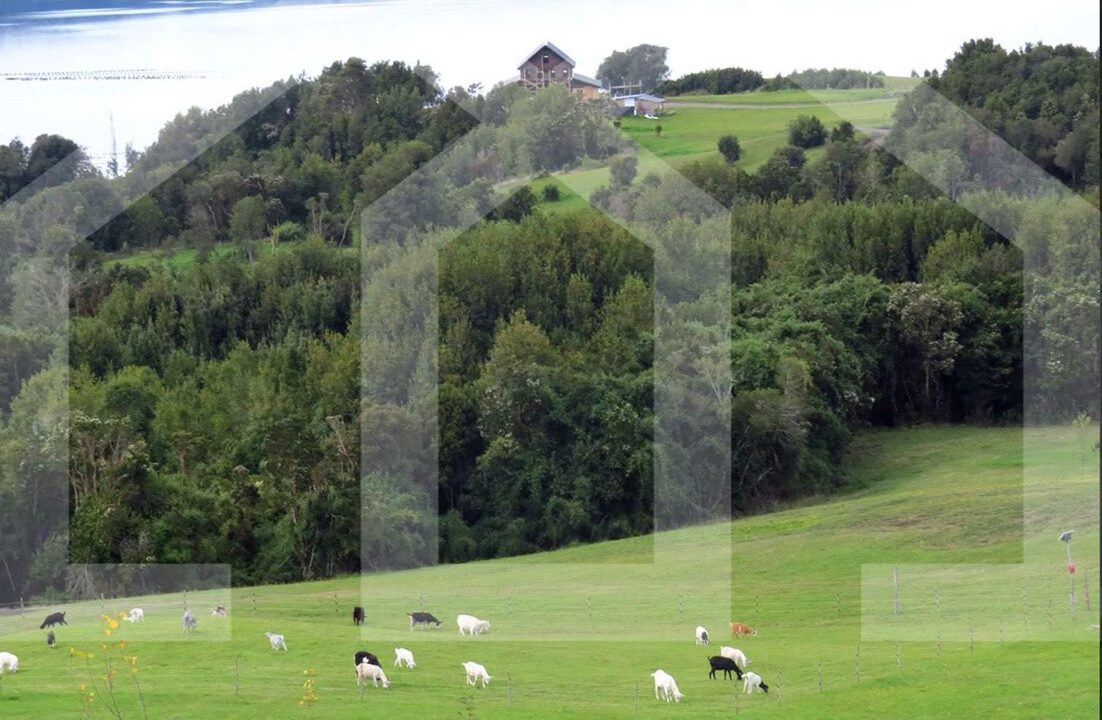chiloe0029